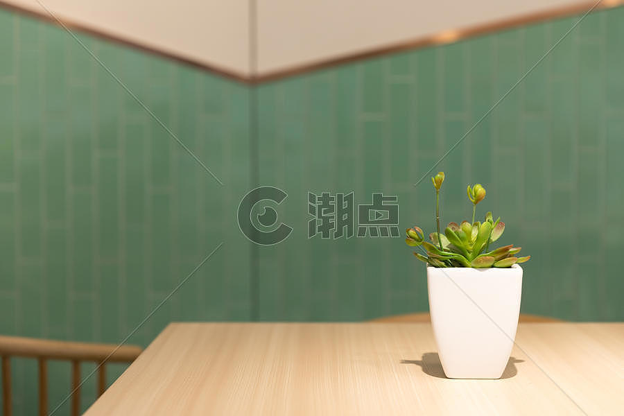 桌子上的盆栽绿植图片素材免费下载