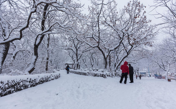 冬天被大雪覆盖的公园景观图片素材免费下载