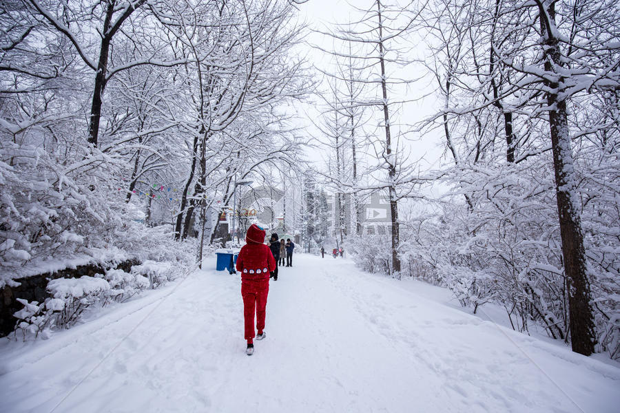 冬季下雪雪景图片素材免费下载