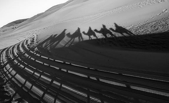 撒哈拉沙漠骆驼群倒影图片素材免费下载