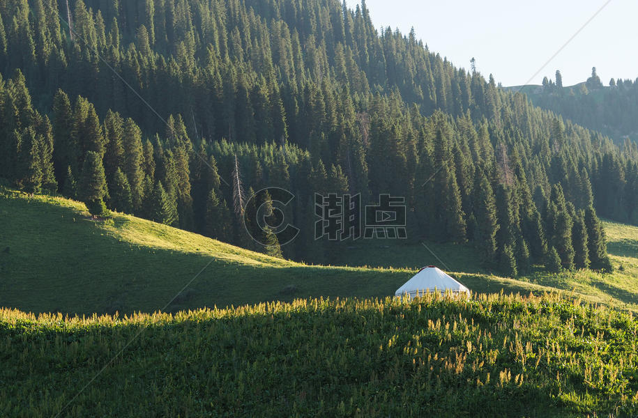 新疆山坡蒙古包图片素材免费下载