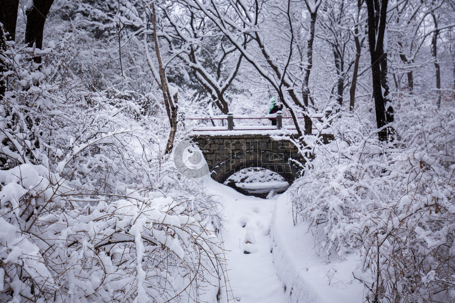 冬天公园里的雪景图片素材免费下载