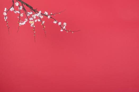 新春桃花红色背景图片素材免费下载
