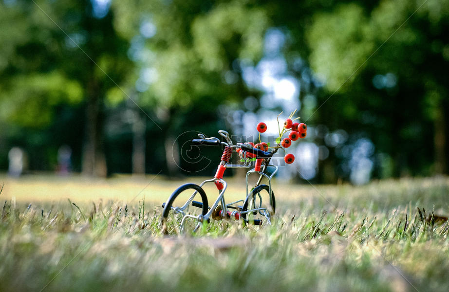 春天绿色草地上的自行车模型图片素材免费下载
