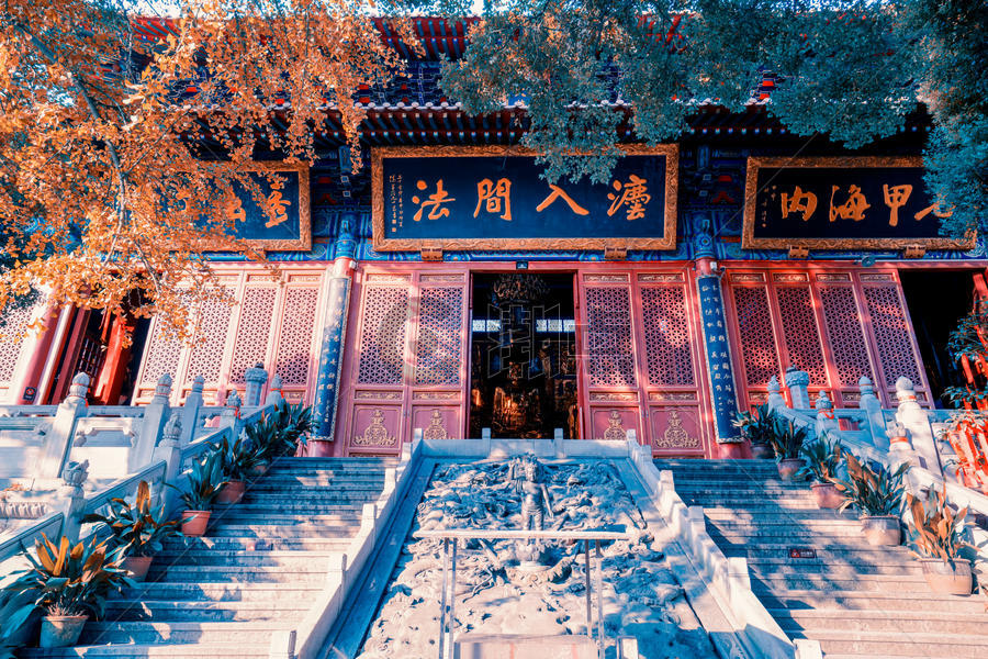 武汉宝通禅寺摄影图7952*5304图片素材免费下载-编号754972-潮点视频