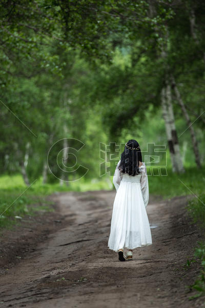 白桦林里穿着白裙女孩美丽的背影图片素材免费下载