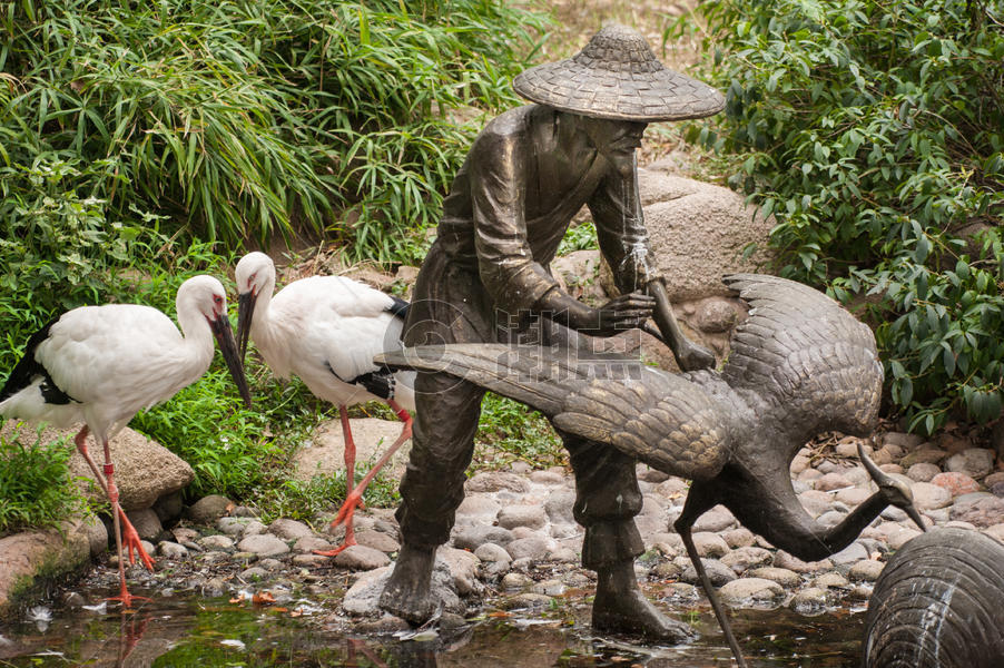 上海野生动物园图片素材免费下载