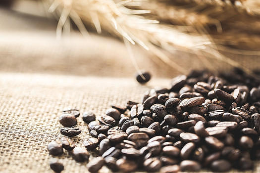 咖啡文化咖啡豆素材图片素材免费下载