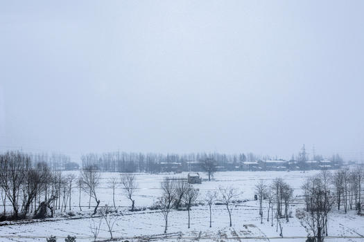 大雪后的雪景图片素材免费下载