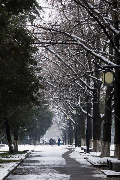 大雪后的城市道路图片素材免费下载