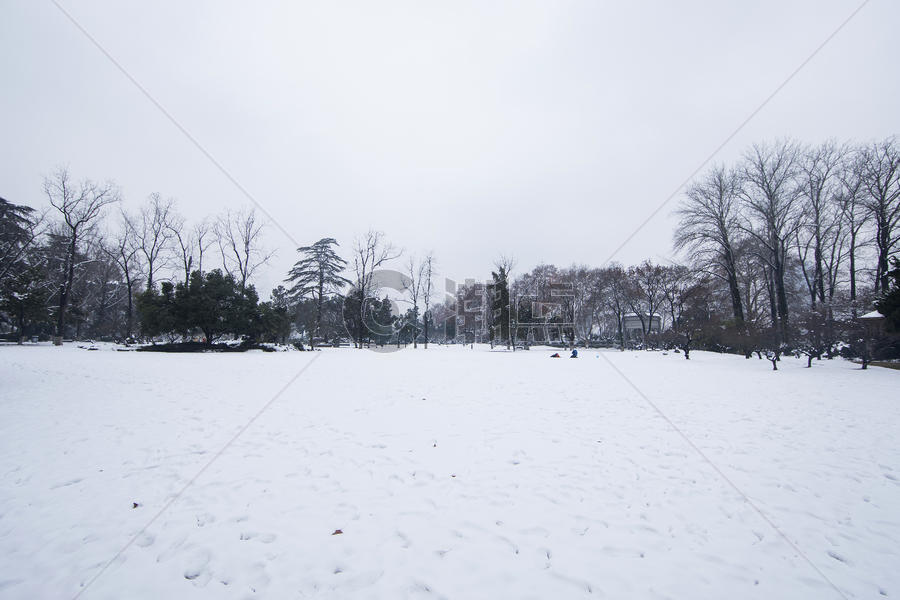 大雪后的公园图片素材免费下载