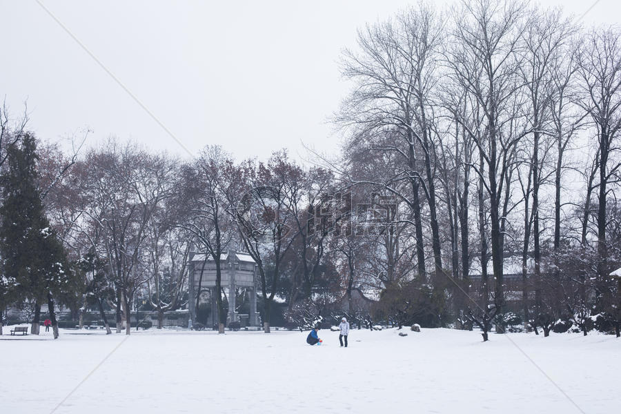 大雪后的公园图片素材免费下载