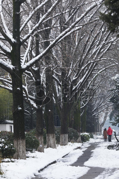 大雪后的道路图片素材免费下载