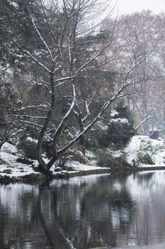 下雪后的风景图片素材免费下载