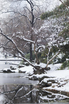 下雪后的风景图片素材免费下载