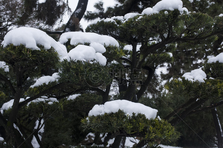 大雪后的风景图片素材免费下载