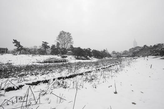雪地上的风景图片素材免费下载