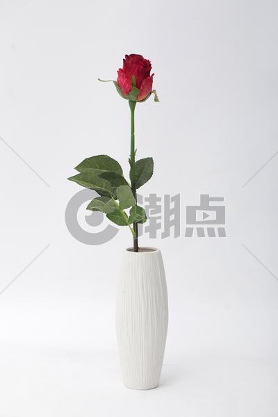 情人节的玫瑰花图片素材免费下载
