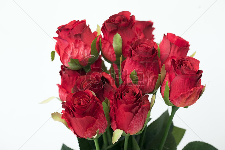 情人节的玫瑰花图片素材免费下载