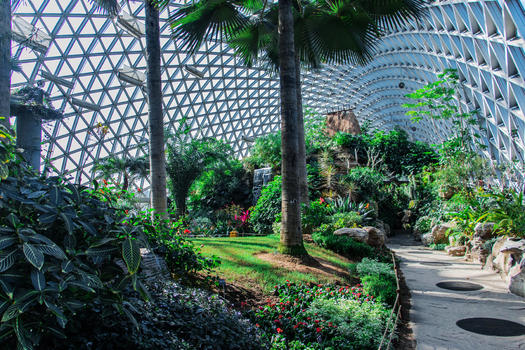 上海辰山植物园热带植物温室图片素材免费下载