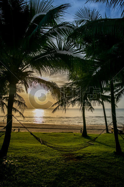 泰国海边椰树林图片素材免费下载
