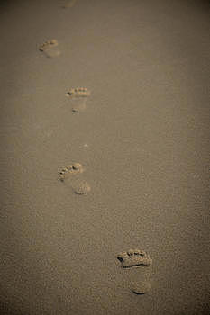沙滩上的脚印图片素材免费下载