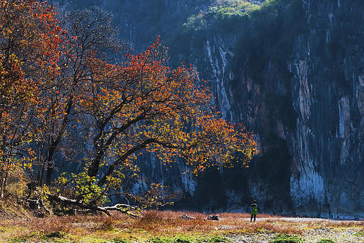 桂林秋景图片素材免费下载