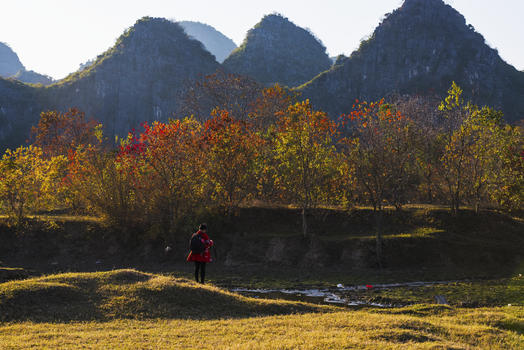 桂林的冬却像秋图片素材免费下载