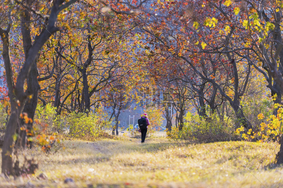 秋天的景色图片素材免费下载