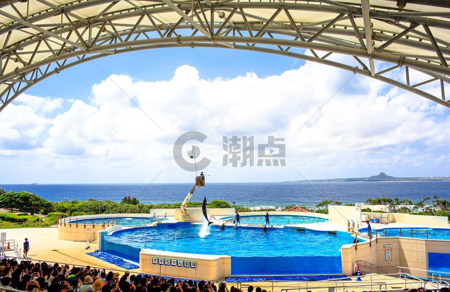 冲绳海洋博公园图片素材免费下载