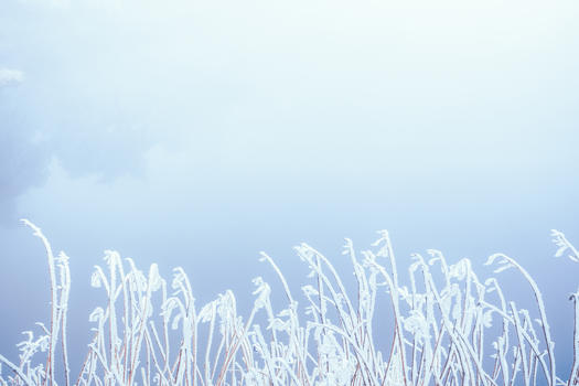 庐山冰雪摄影图片图片素材免费下载