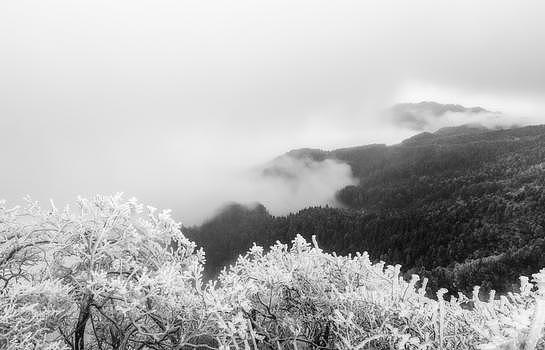 庐山冰雪摄影图片图片素材免费下载