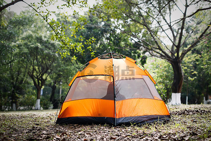 树林中野营的帐篷图片素材免费下载