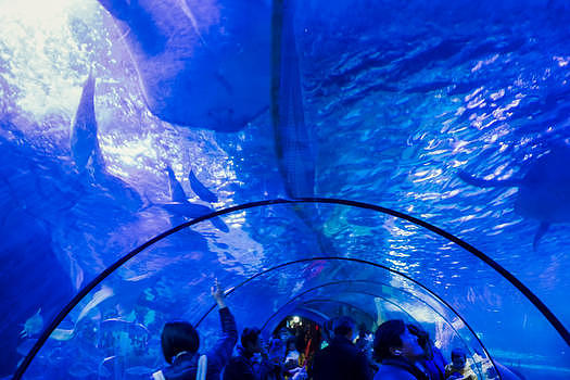 水族馆海底世界图片素材免费下载