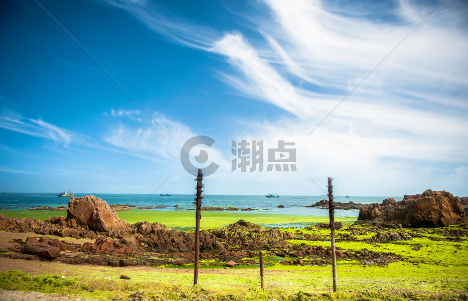 青岛海边海藻沙滩图片素材免费下载