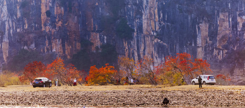桂林冬季红似火图片素材免费下载