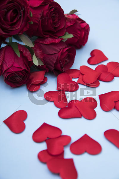 玫瑰与爱心图片素材免费下载