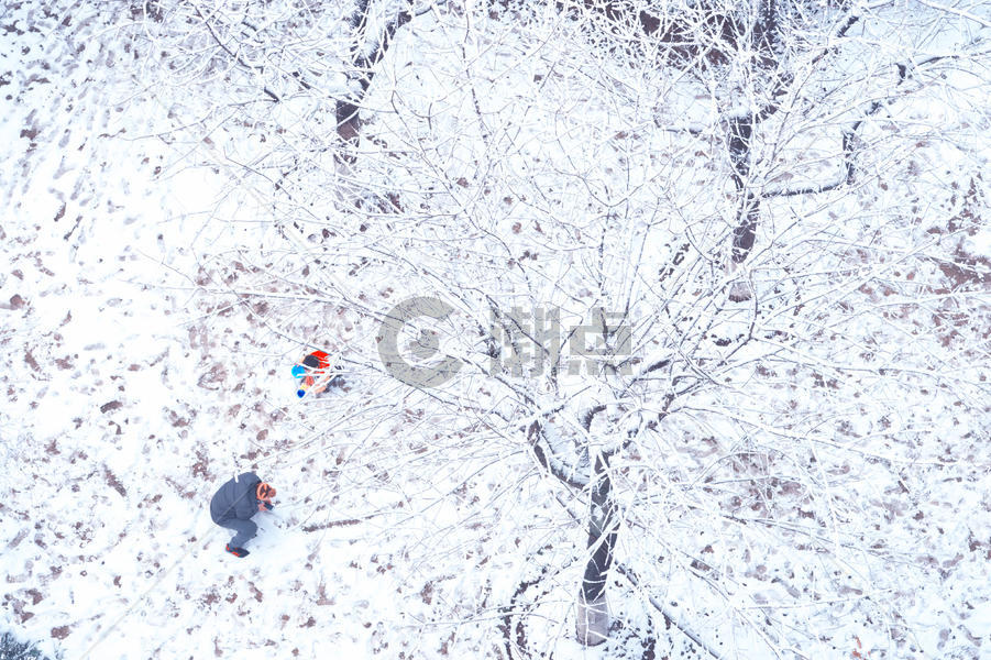 上海的第一场雪图片素材免费下载