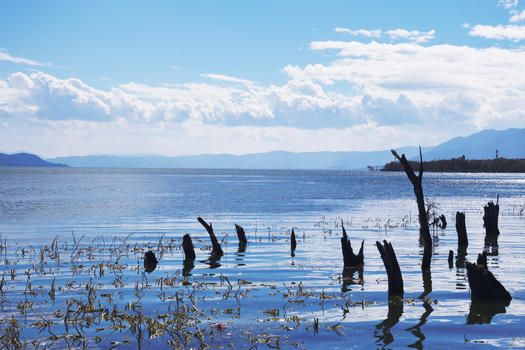 大理海舌湿地公园图片素材免费下载