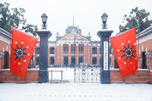 大雪中的武汉辛亥革命纪念馆图片素材免费下载