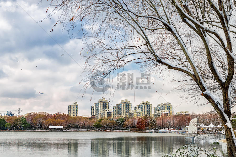 大雪过后的上海城市风格图片素材免费下载