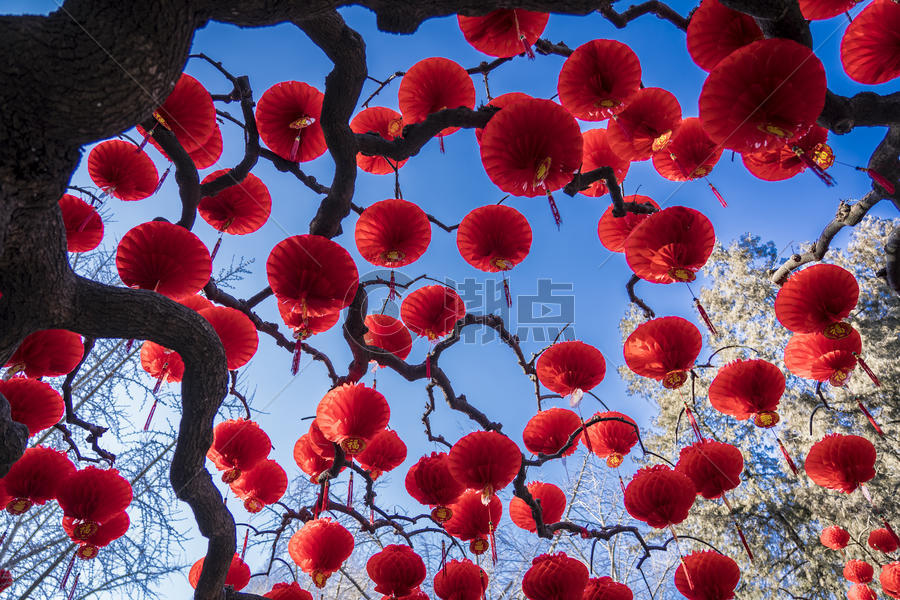 喜庆春节图片素材免费下载