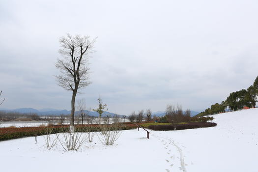 南国雪景图片素材免费下载