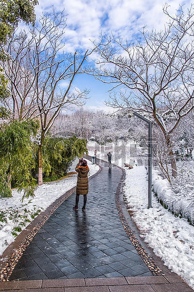 雪中景色和拍照的人们图片素材免费下载