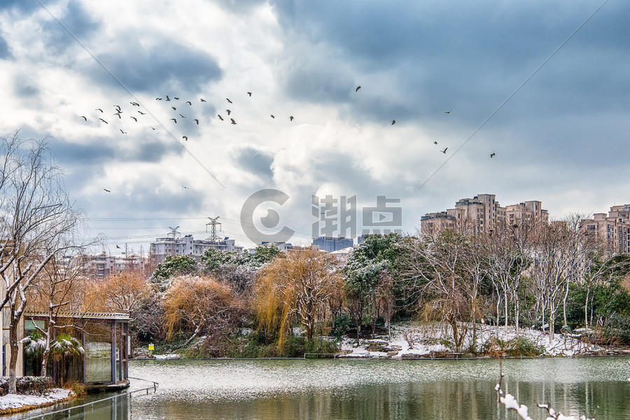 雪中的上海城市一隅图片素材免费下载