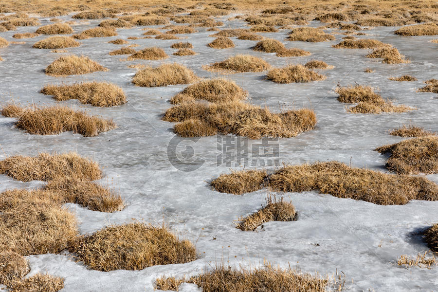 冬天结冰的草垛图片素材免费下载