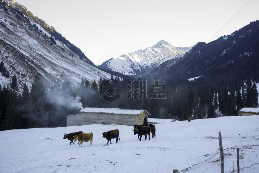 新疆特克斯琼库什台雪山牧民图片素材免费下载