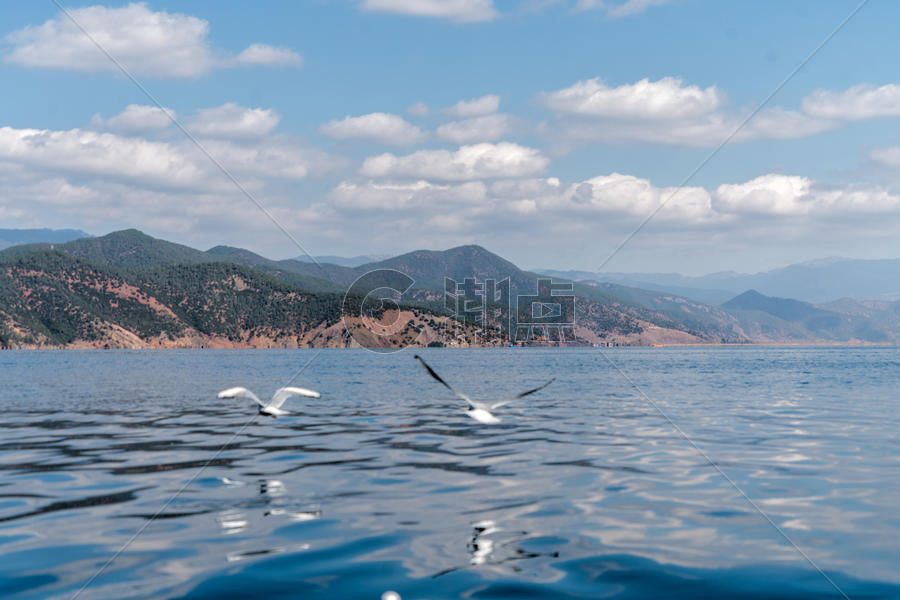 泸沽湖飞舞的精灵图片素材免费下载
