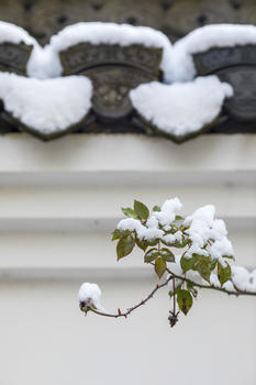 中国古建筑和雪图片素材免费下载