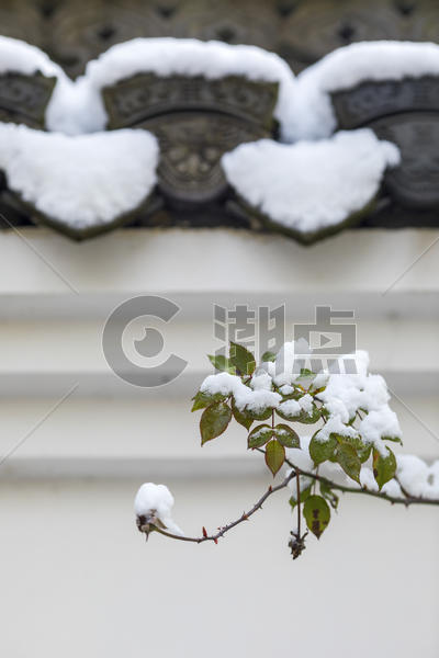 中国古建筑和雪图片素材免费下载